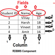 RDBMS component definition